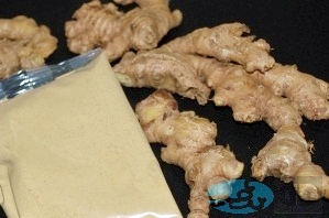 Ginger-1new-web1.jpg
